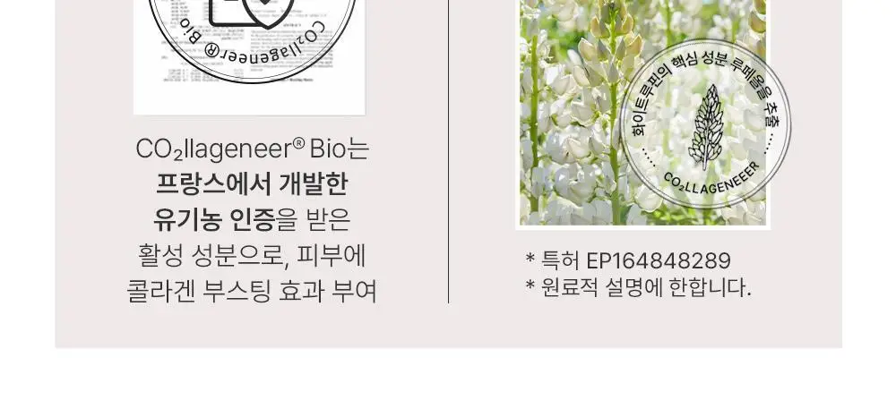 [화잘먹 젤리미스트] 빛클 살구콜라겐 젤세럼 미스트 100ml 상세페이지 16